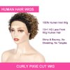 QUEEN VIRGIN REMY QVR Pixie Cut Wig 13x1 Short Curly Lace Front Wigs Human Hair HD Lace Pixie Human Hair Wigs for Black Women Glueless Wigs Ombre Honey Blonde T1B/27 Color
