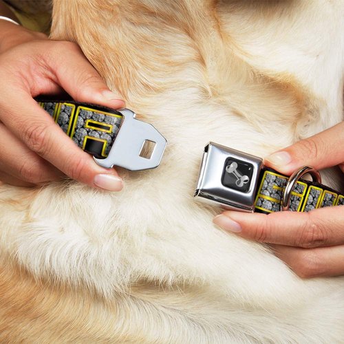 Dog Collar Seatbelt Buckle Swag Black Bling 9 to 15 Inches 1.0 Inch Wide