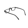 Hand Painted Reader Reading Glasses + Free Micro Fiber Pouch $5.00 Spring Hinge R77 (+175, Black)