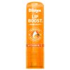 Blistex Lip Boost Immunity, Lip Balm, Intensive Hydration, Vitamin C, Coconut Oil & Beeswax, Moisturizer (Pack of 2)