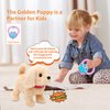 Monealpis Walking Dog Toy - Toddler Dog Toys for Girls Aged 2+, Singing, Barking, Talking Golden Retriever Plush with Leash, Interactive Dog Playset Gift for Kids, Boys and Girls