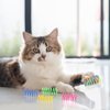 KIMOBER 32PCS Cat Spiral Spring,Colorful Plastic Cat Creative Toy Interactive Cat Toy Spiral Springs for Indoor Cats Kittens to Swat, Bite, Hunt Kitten Toys