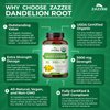 Zazzee USDA Organic Dandelion Root 10:1 Extract, 3000 mg Strength, 180 Capsules, 6 Month Supply, Standardized and Concentrated 10X Extract, 100% Vegetarian, All-Natural and Non-GMO