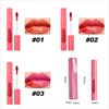 3 Colors Peel Off Matte Lip Liner Stain, Long Lasting Natural Peel Off Tattoo Lip Stain, Waterproof Smudge Proof Non-Stick Cup Lip Tint Peel Off Lip Gloss, Lip Makeup Gift for Women-01#02#03#