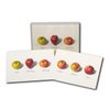 Earth Sky + Water - Apple Assortment Notecard Set - 8 Blank Cards with Envelopes (4 each of 2 styles)