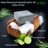 Kirei Shampoo Bar, 2-in-1 Shampoo & Conditioner Bar, Detoxifying, Deep Cleansing, Hydrating Shampoo bar for All Hair Types, Activated Charcoal, Tea Tree/Shea/Thyme, All Natural & Vegan SEIJAKU 100g