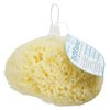 Neptune Natural Sea Wool Sponge - All Natural Honeycomb Renewable Sea Sponge, Jumbo, Approx. 7 Inches