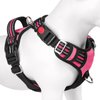rabbitgoo Dog Harness Medium Sized, No Pull Dog Vest Harness with 3 Buckles, Adjustable Soft Padded Pet Harness with Easy Control Handle and Reflective Strips, Pink, M