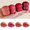 Rayberro 4 Pack Matte Ink Lip Glaze Lipstick Set, Lip Gloss Set, Cute Pinecone Shape Lipstick Makeup Set, Long Lasting Wear Non-Stick Cup Not Fade Waterproof Sweatproof Lipsticks Lip Balm Lip Care