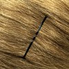 Amelia Beauty Products Standard Bobby Pin Waved | Hair Styling Accessories Hair Pins - for all Hair Types | 300 Gram in Clear Container Premium Pins Made in Italy - Black