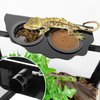 REPTI ZOO Magnetic Gecko Feeding Ledge, Acrylic Aboreal Feeding Ledge with 6PCS Cups, Strong Magnetic Reptile Ledge Gecko Food Ledge