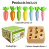 Skrtuan Wooden Toys for 1 2 3 Year Old Toddlers Baby Boys and Girls, Montessori Toy Carrot Harvest Game Shape & Sorting Matching Puzzle, Educational Developmental Birthday Gifts for Babies 6-12 Months