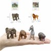 Small Montessori Animal Figures with Flash Cards, Realistic Animal Figurines Toys, Montessori Materials Homeschool Preschool Science Educational Matching Game for Toddler Kids (Zoo)