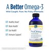 Nordic Naturals ProOmega Liquid, Lemon Flavor - 8 oz - 2840 mg Omega-3 - High Potency Fish Oil with EPA & DHA - Promotes Brain, Eye, Heart, & Immune Health - Non-GMO - 48 Servings