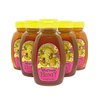 Wildflower Honey 16 oz. Bottle Unpasteurized Unblended No Additives Pure Honey