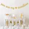 Dalaber You are My Sunshine Party Banner -Wedding, Birthday, Baby Shower Party Decorations - Kids Boys Girls Birthday Party Supplies