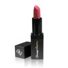Grunge Factory Cosmetics Moisture Matte Lipstick (Perfect)