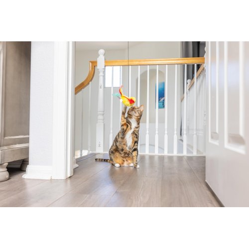 SPOT A-Door-Able Plush Bird Cat Toy | Rattle and Catnip Cat Toy Provides Hours of Entertainment for Your Cat | Hangs on Any Size Door Frame