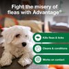 Advantage Flea and Tick Treatment Shampoo for Dogs and Puppies, 8 oz