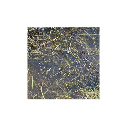 AKI Diorama Effects - Still Water 250ml