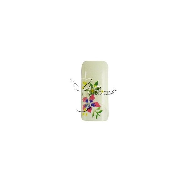 Pearl White/Exotic Flower Pre-designed Acrylic/UV Gel Artificial/False French Nail Tips (70 pcs.)