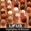LIFUS Face Cream Contour Stick Bronzer Stick Highlighter Stick Illuminator Makeup Glow Kit,Long Lasting Highly Piamented Skin Brighten Shadow Contour Bronzer Highlighter Powder Pen Pencil-F2