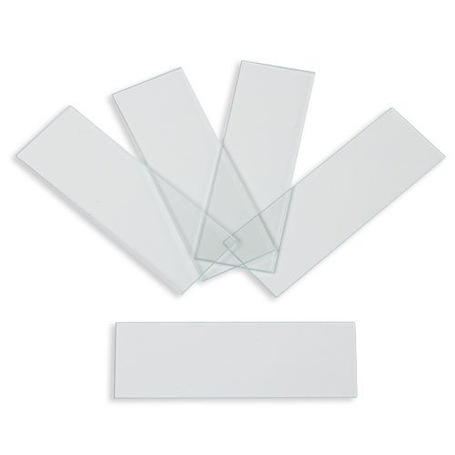 Microscope Slides, Ground Edges, Plain, 90 Corners, 3x1, Karter Scientific 206A2 (Pack of 72)