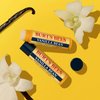 Burt's Bees Lip Balm Stocking Stuffers, Moisturizing Lip Care Christmas Gifts, Vanilla Bean, Lip Moisturizer With Responsibly Sourced Beeswax, Tint-Free, Natural Origin Treatment (2-Pack)