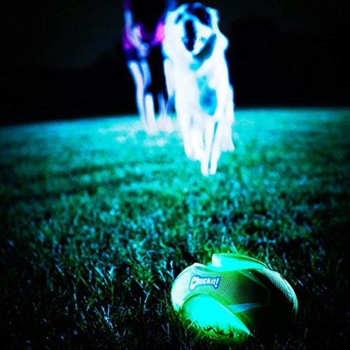 Chuckit! Max Glow Fumble Fetch Dog Football Dog Toy