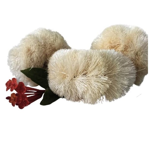 Siyo Natural Bath Body Scrub Brush Skin Smooth Scrubbing Brush Coconut Coir Brush Cleaning The Body Natural Bristal Dry Body Brush for Post Shower & Bath Skincare Routine Eco-Friendly (2 Pack)