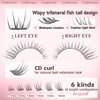 Goddvenus Wispy Lash Clusters Kit 11-16 mm Lash Extension Kit Cluster Eyelash Extension Natural Individual Lashes CD Curled Eyelash Clusters with Lash Bond and Seal and Lash Tweezers for DIY at Home