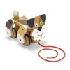 Playful Puppy Pull Toy