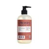 MRS. MEYER'S CLEAN DAY Liquid Hand Soap 2 Pack Variety, 12.5 OZ Each, 1 CT (Apple Cider + Fall Leaves)