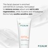 P.CALM Underpore Facial Foaming Cleanser 250 ml | Vegan Deep Pore Cleansing Facial Wash for Sensitive Skin | Korean Skincare