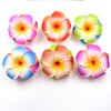 Jinshining 10Pcs Multicolor Hawaii Plumeria Flower Clips, Artificial Tropical Flower Hairpins for Wedding, Beach Party Hair Clips and Barrettes, Hair Accessory, 10 cm, Unisex, 10 Pieces