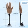 Silicone Hand for Acrylic Nails with Stand Bracket,Realistic Silicone Nail Training Hand, Soft Flexible Bendable Nail Practice Mannequin Hand for Nails Art DIY Print Practice Tool (Left Hand)