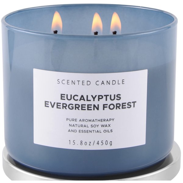 Eucalyptus Evergreen Forest Luxury 3 Wick Winter Pine Candle | Mens Candles, Scented Candles for Home | Aromatherapy Stress Relief Soy Candles 15.8 oz | Balsam Fir Woods Candles for Men & Women