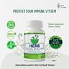 Herb Therapy Sea Moss Capsules 100 Pack - Irish Sea Moss with Bladderwrack Powder & Burdock Root Powder - Keto & Alkaline Diet Support - No Fillers Seamoss Raw Supplement