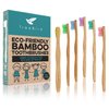 TreeBird Kids Bamboo Toothbrush 6-Pack | Super Soft Bristles | Eco-Friendly Dental Care for Children | Compostable Natural Organic Wood Handles | Colorful BPA-Free Brushheads