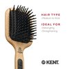 Kent PF19 Beechwood Cushion Paddle Brush - Scalp Massager and Detangler Brush - The Hair Brush for Thick Hair - Scalp Massager Hair Growth Stimulator - Hair Detangler Brush and Curly Hair Brush