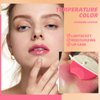Jolilab 2 Pcs Changing Lipstick.Long Lasting Lip Gloss.Lip Balm Tinted Magic Makeup.Magic Temp Color Change Matte Lip Gloss Makeup.0.2oz (01+03)
