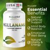 Hallusa Natural Anamu Root 450 mg - Petiveria Allicea - Anamu Capsules Organic - Immune System & Energy - 100 Capsules