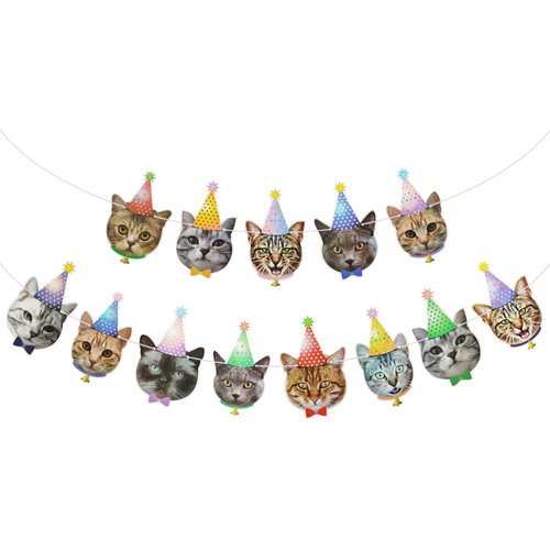 Cat Happy Birthday Banner,Photographic Cat Faces Birthday Garland,Party Bunting Decoration for Boy and Girl,Baby Shower Party Supplies for Cat Theme Party Favors