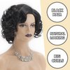 SEVENCOLORS Short Curly Wigs for Black Women Glueless Soft Short Black Hair Wigs Natural Looking Synthetic Fiber Afro Big Curly Bob Wigs