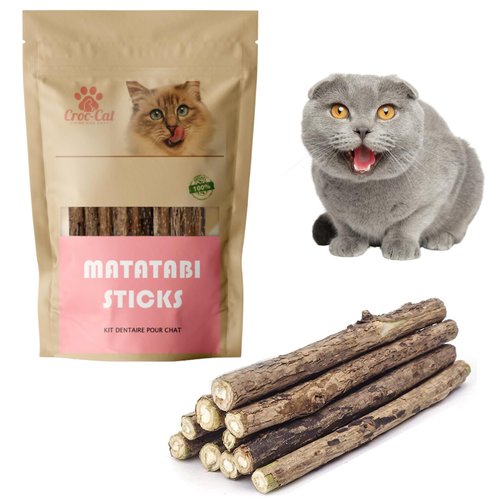 Croc-Cat Matatabi for Cats x 10 Pcs | Organic Silvervine Sticks and Catnip Treats | Natural Chews for Healthy Teeth Cleaning | Calming Toy for Kittens and Aggressive Chewers