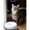 Purrfect Water Fountain Filter Set: 5-Layer Filter and Sponge Filter
