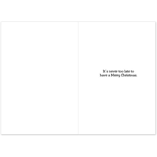 Box Set of 12 Face On Christmas Humor Card