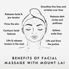 Mount Lai - The Black Obsidian Facial Spa Set | Obsidian Face Roller and Gua Sha Set | Gua Sha Tools to Relieve Muscle Tension and Reduce Puffiness | Anti Aging Skin Care Sets for Women