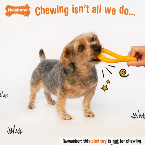 Nylabone Tuug Interactive Dog Toy for Small Dogs - Lightweight Flexible Floatable Dog Tug Toy for Creative Play & Dog Exercise (1 Count)