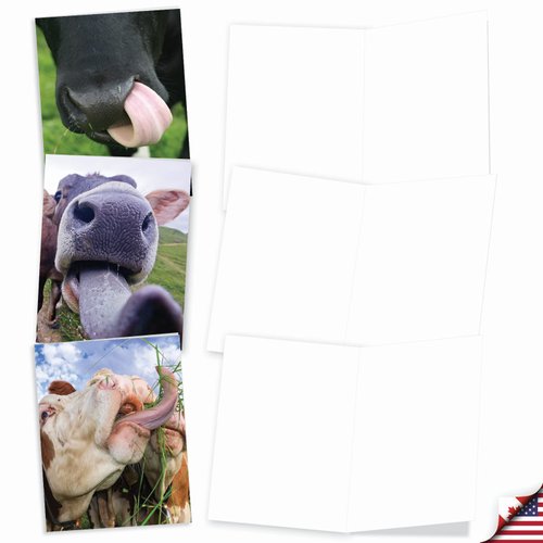 The Best Card Company - 10 Adorable Note Cards Blank (4 x 5.12 Inch) - Wildlife and Animal Cards, Assorted Boxed Kids Set - Cowlicks M4604OCB-B1x10